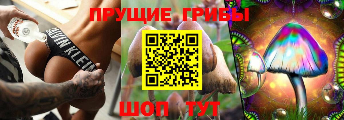 Ревда  Псилоцибиновые грибы GOLDEN TEACHER  Вход с VPN 